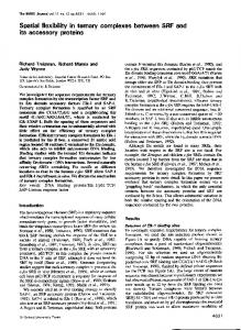 Spatial flexibilityin ternary complexes between SRF and - Europe PMC