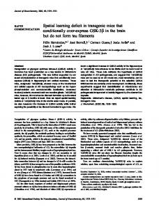 Spatial learning deficit in transgenic mice that ... - Wiley Online Library