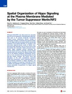 Spatial Organization of Hippo Signaling at the Plasma ... - Cell Press