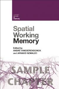 Spatial Working Memory