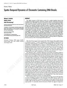 Spatio-Temporal Dynamics of Chromatin Containing DNA Breaks