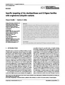 Specific targeting of the deubiquitinase and E3 ... - Semantic Scholar