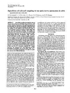 Specificity of cell-cell coupling in rat optic nerve astrocytesin vitro - PNAS