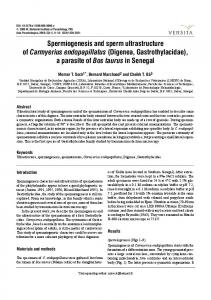 Spermiogenesis and sperm ultrastructure of ... - Springer Link