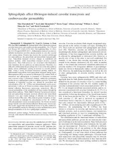 Sphingolipids affect fibrinogen-induced caveolar transcytosis and ...