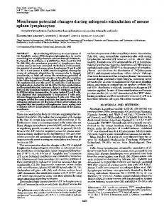 spleen lymphocytes - Semantic Scholar