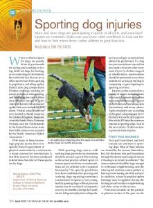 Sporting dog injuries