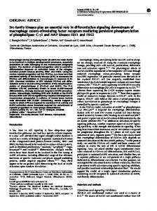 Src-family kinases play an essential role in differentiation signaling ...