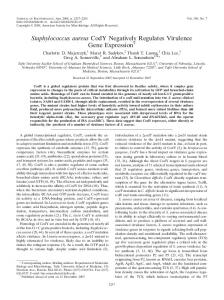 Staphylococcus aureus CodY Negatively Regulates Virulence Gene ...