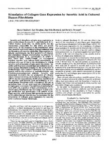 Stimulation of Collagen Gene Expression by Ascorbic Acid in Cultured ...