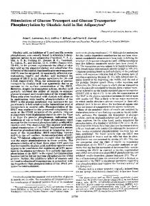 Stimulation of Glucose Transport and Glucose