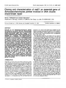 strand-break repair - BioMedSearch