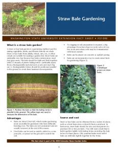 Straw Bale Gardening