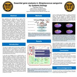 Streptococcus sanguinis