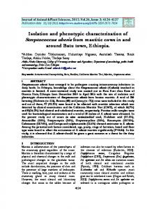 Streptococcus uberis