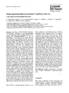 Striato-nigral dynorphin and substance P pathways in ... - Springer Link