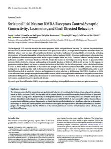 Striatopallidal Neuron NMDA Receptors Control Synaptic Connectivity ...