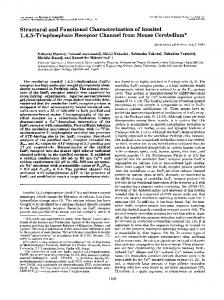 Structural and Functional Characterization of Inositol 1,4,5 ...