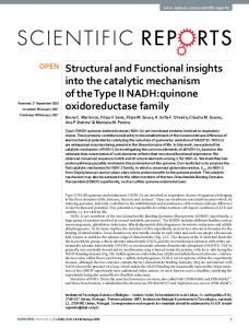 Structural and Functional insights into the catalytic