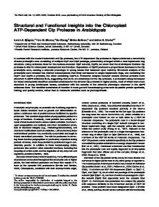 Structural and Functional Insights into the Chloroplast ATP ... - Plant Cell