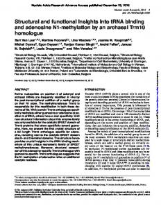 Structural and functional insights into tRNA binding ...