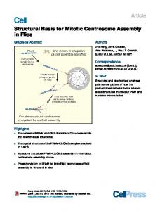 Structural Basis for Mitotic Centrosome Assembly in Flies - Cell Press