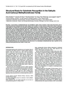 Structural Basis for Substrate Recognition in the ... - Semantic Scholar