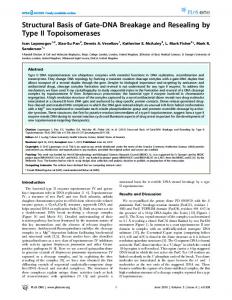 Structural Basis of Gate-DNA Breakage and Resealing by ... - CiteSeerX