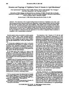 Structure and Topology of Diphtheria Toxin R Domain in Lipid ...