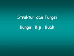 Struktur dan Fungsi Bunga, Biji, Buah