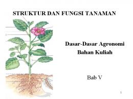 STRUKTUR DAN FUNGSI TANAMAN