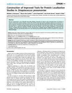 Studies in Streptococcus pneumoniae