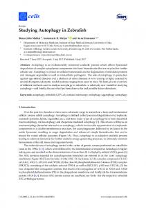 Studying Autophagy in Zebrafish - MDPI