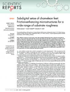 Subdigital setae of chameleon feet: Friction ... - BioMedSearch