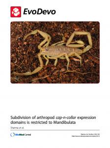 Subdivision of arthropod cap-n-collar expression ... - Extavour Lab