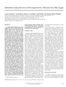 Submarine slope processes in rift-margin basins ... - GeoScienceWorld