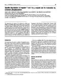 substrate phosphorylation - Europe PMC