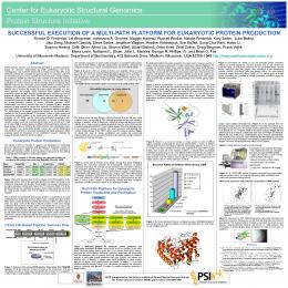 successful execution of a multi-path platform for eukaryotic protein ...