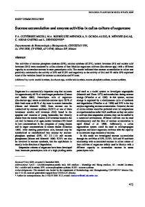 Sucrose accumulation and enzyme activities in callus ... - Springer Link