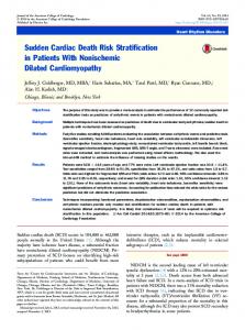 Sudden Cardiac Death Risk Stratification in Patients