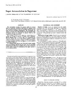 Sugar Accumulation in Sugarcane - NCBI