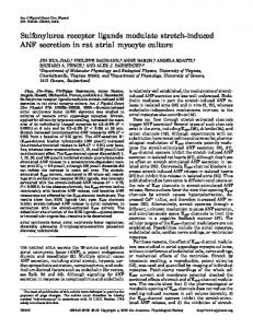 Sulfonylurea receptor ligands modulate stretch-induced ANF secretion ...