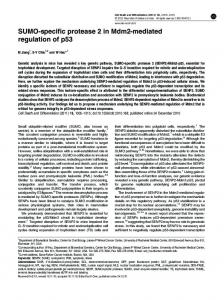 SUMO-specific protease 2 in Mdm2-mediated regulation of p53