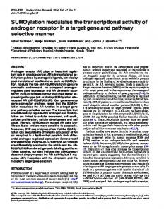 SUMOylation modulates the transcriptional activity ... - Semantic Scholar