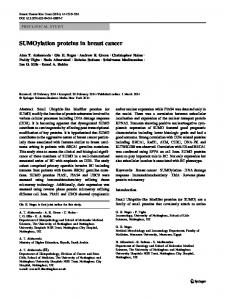 SUMOylation proteins in breast cancer - Springer Link