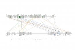 Sup Fig 1 trees - PLOS