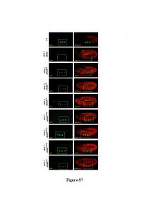 Sup Fig Merabet et al R.ppt .pptx - PLOS