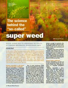 super weed - WI DNR