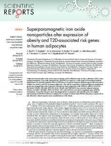 Superparamagnetic iron oxide nanoparticles alter expression ... - Nature