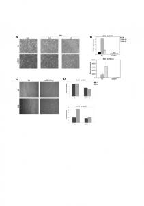 Suppl. Fig. 4.pptx